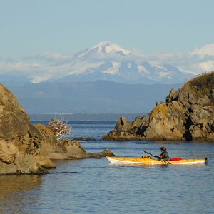 My man Friday and Mt Baker