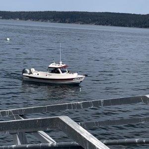 Labor Day in Sequim Bay