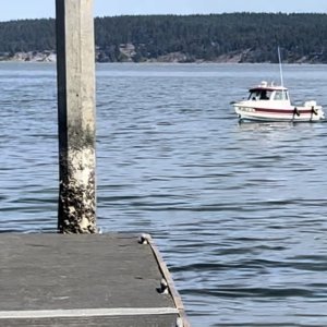 Sequim Bay on Labor Day