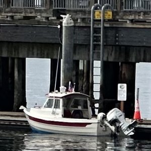 IMG 9875