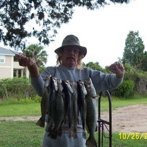 Media 'A few trout' in album 'Flounder'
