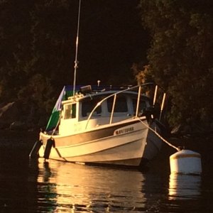 Media '' in album 'San Juan/ Gulf Islands'