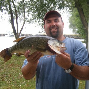 Bass catch while trolling for Northerns