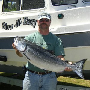 Crescent City Salmon show up in Numbers.