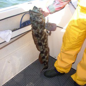 I think this is out of the same hatch.