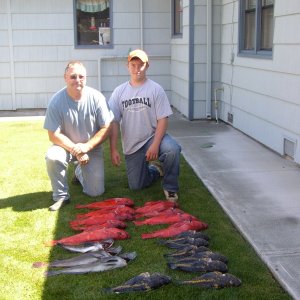 Just a tipical Crescent City fishing trip.