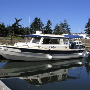 C-Puffin at Blakely Island