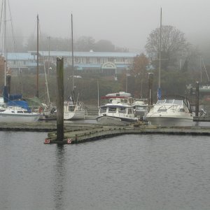 Foggy morning at Saltspring Marina