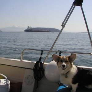 Cruising to Friday Harbor