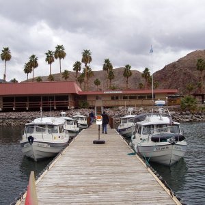 Willow Springs- Lake Mohave Feb '04