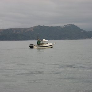 Trolling SF Bay