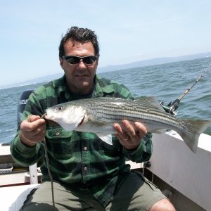 Oyster Point ,Ca.