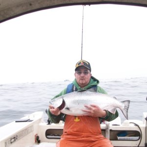 25LB King Salmon Bodega Bay Solo