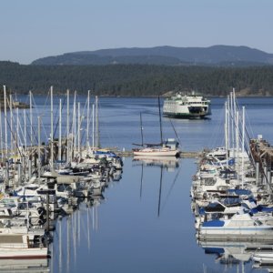 Friday harbor Sunday evening