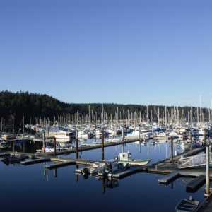 Friday Harbor on Sunday Evening, March 11th