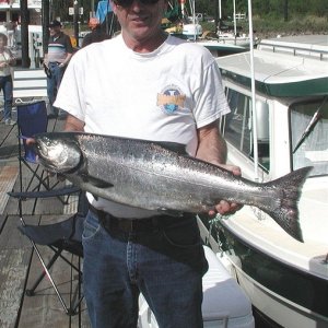 David  (Anna Leigh) with Springer #1
