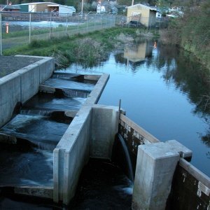 Media '(Primative) 
Fish ladder' in album 'C-Pod at Catheterdalamet Marina'