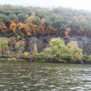Wyalusing