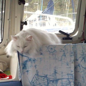 Not often she's this comfortable on the boat.