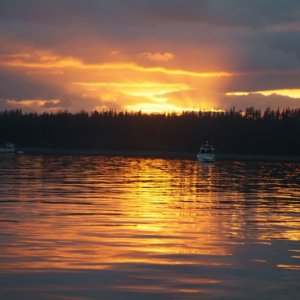 BARTLETT COVE.jpg