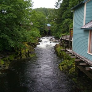 Media 'SALMON RIVER.jpg' in album '.jpg'