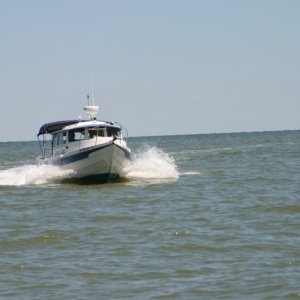 (Captains Choice)