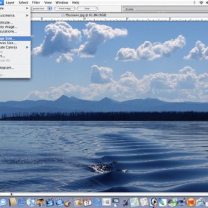 Image>Image Size (to reduce the file size for web use)
