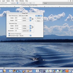 Make it the size you want at 72 resolution