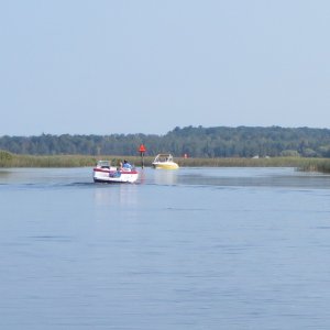 Indian River marsh