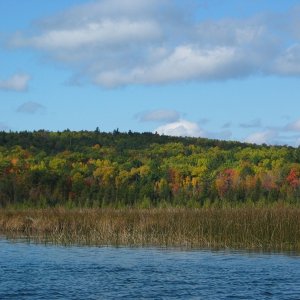 Media '(Not For Hire) Indian River, Michigan' in album '(Not For Hire) Aloha State Park, Mullet Lake, Inland Waterway, Michigan'