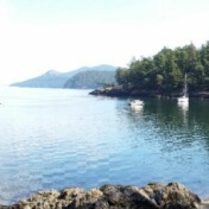 we rowed to shore from the bouy at Jones Island for a great hike!