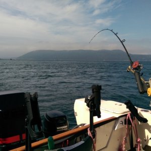 Fishing Obstruction Pass