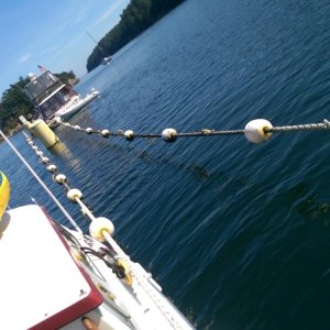 Media 'Linear Moorage Echo Bay / Sucia' in album 'Narrows Marina'