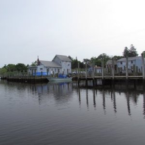 IMG 0538