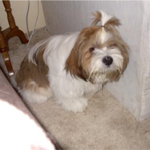 010704neuter