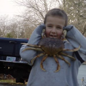 Crabby Austin