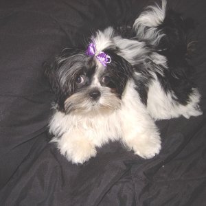 Sophie