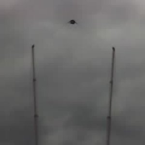 Puyallup Sling Shot