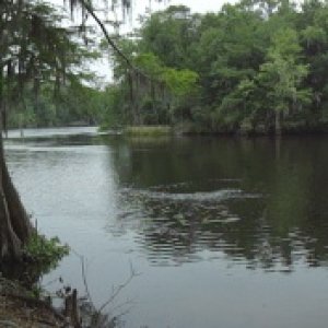DSC00775