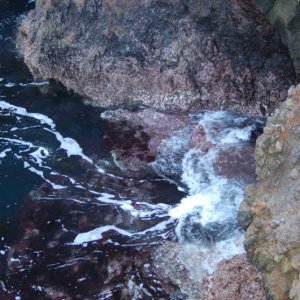 The surge creates a constantly changing seascape.