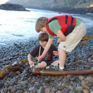 Budding biologists -- the first necropsy.