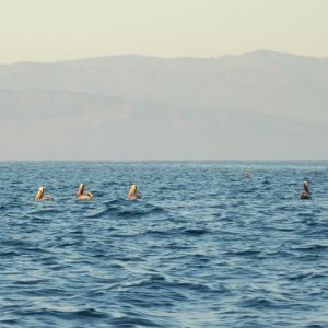 Media '' in album 'Anacapa and Santa Cruz Island from the house.'