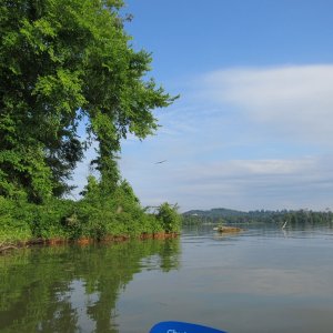 typical TVA shoreline