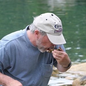 Media 'Tom enjoys a steamed oyster.' in album 'Jim lends a helping hand to Denny and Signe landing their dingy.'