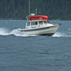 Media 'Passage Canal, Prince William Sound' in album 'Passage Canal, Prince William Sound'
