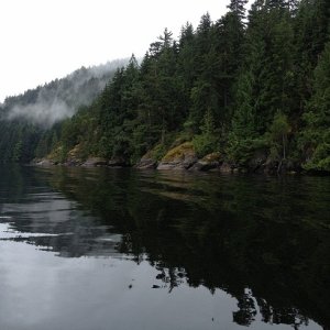 We took a run down the Alberni inlet
