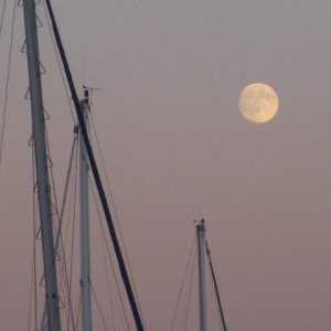 2008 10 15 4182