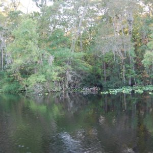 Six Mile Creek