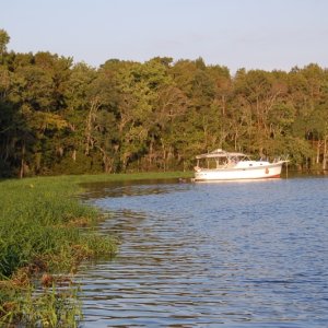 Media 'This is a little slue I spent the night in' in album 'Six Mile Creek North part of Saint Johns east side of river'