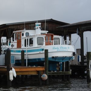 Sharp little tug in same boathouse as previous C-Dory